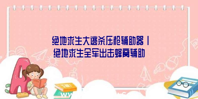 「绝地求生大逃杀压枪辅助器」|绝地求生全军出击蜂窝辅助